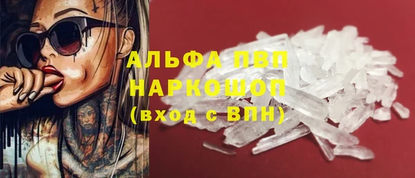 индика Балахна