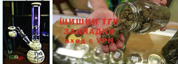 индика Балахна