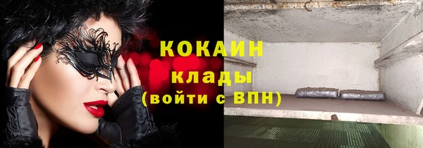 индика Балахна
