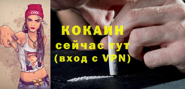 шишки Балабаново