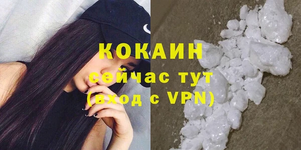 индика Балахна