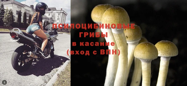 прущие грибы Армянск